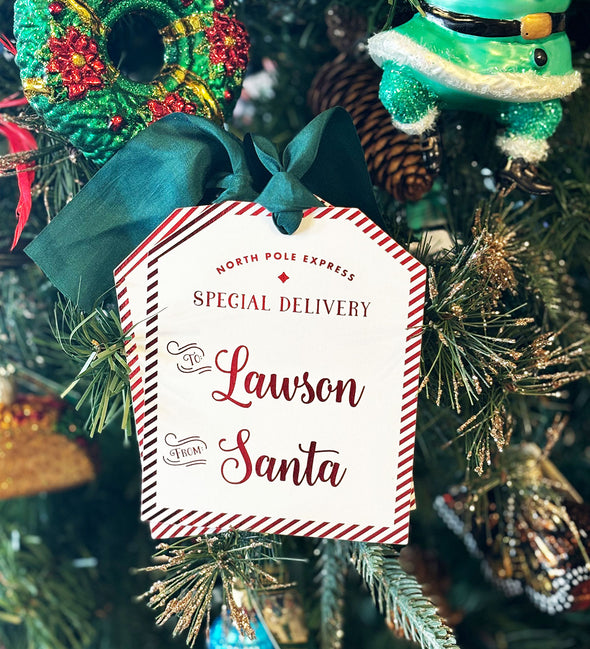 Special Delivery Santa Tag