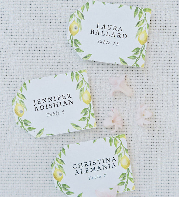 Lemon Branch Place Card